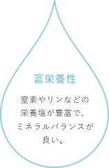 富栄養性：窒素やリンなどの栄養塩が豊富で、ミネラルバランスが良い。